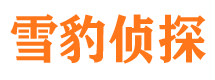 海丰寻人公司